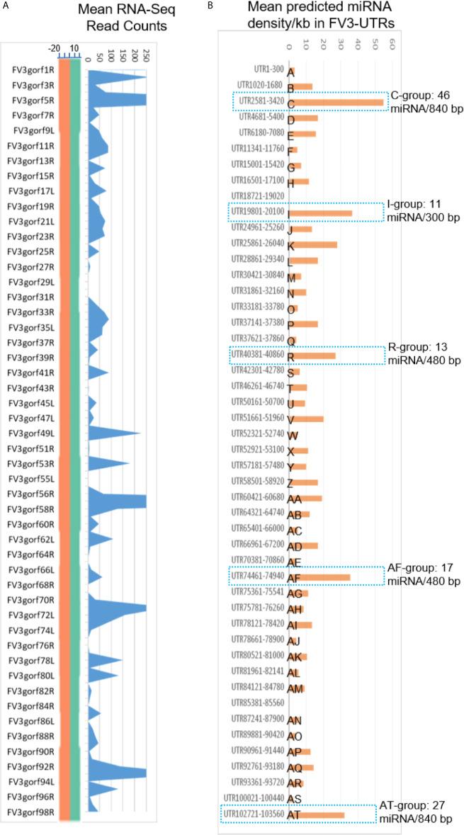 https://cdn.ncbi.nlm.nih.gov/pmc/blobs/fa40/8248673/411aa9ba3bcd/fimmu-12-705253-g006.jpg