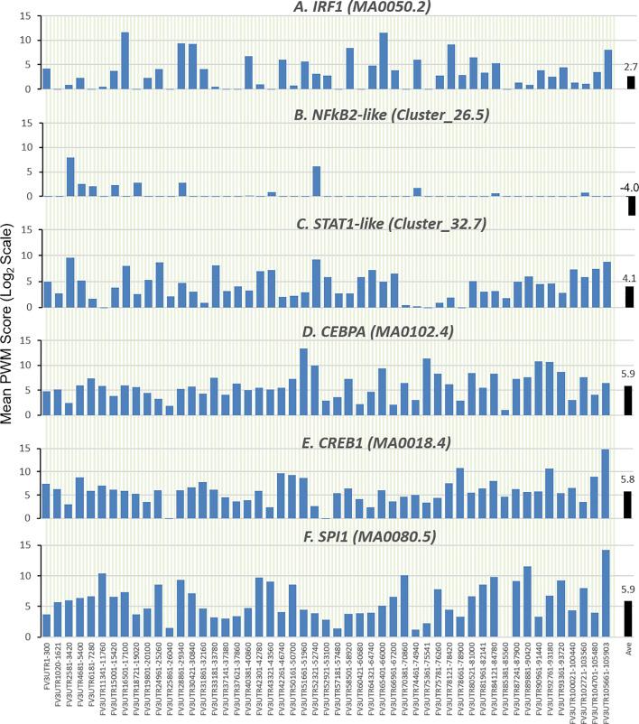 https://cdn.ncbi.nlm.nih.gov/pmc/blobs/fa40/8248673/49e1d297ceca/fimmu-12-705253-g003.jpg