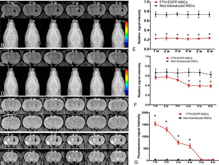 https://cdn.ncbi.nlm.nih.gov/pmc/blobs/fa41/5753979/d1ae4a398c1c/10.1177_0963689717722560-fig5.jpg