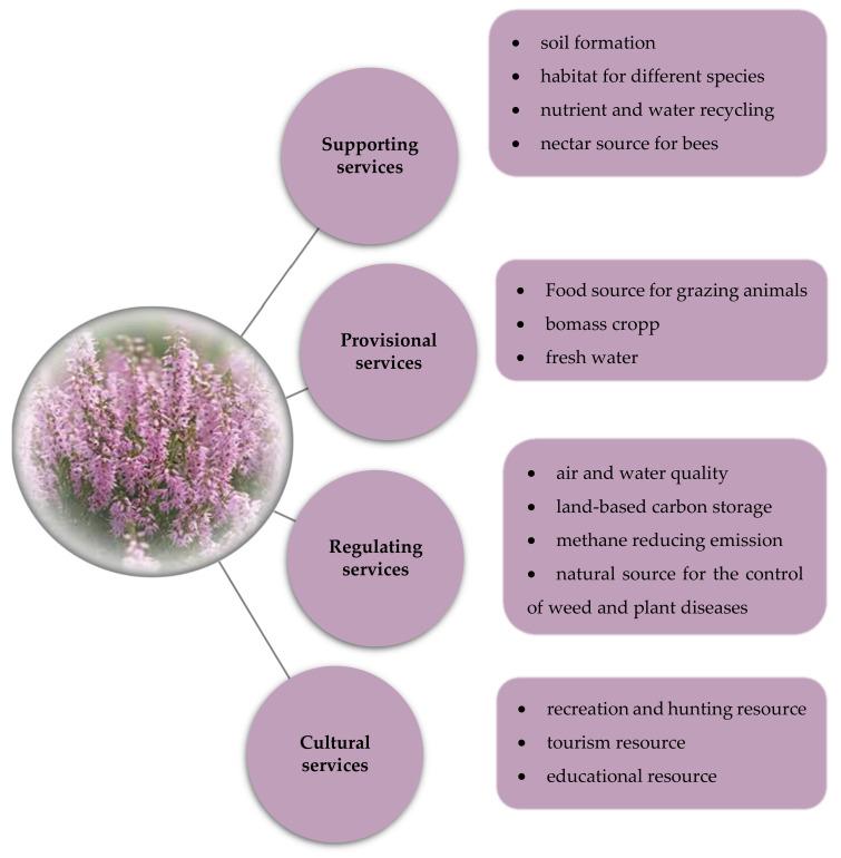 https://cdn.ncbi.nlm.nih.gov/pmc/blobs/fa41/9370339/c1ffb742567d/plants-11-01993-g002.jpg