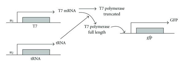 https://cdn.ncbi.nlm.nih.gov/pmc/blobs/fa44/3237015/b47c35799e9a/JBB2011-304236.004.jpg