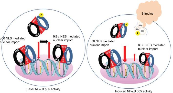 https://cdn.ncbi.nlm.nih.gov/pmc/blobs/fa45/6217131/8feeb9fd0f58/jir-11-407Fig1.jpg