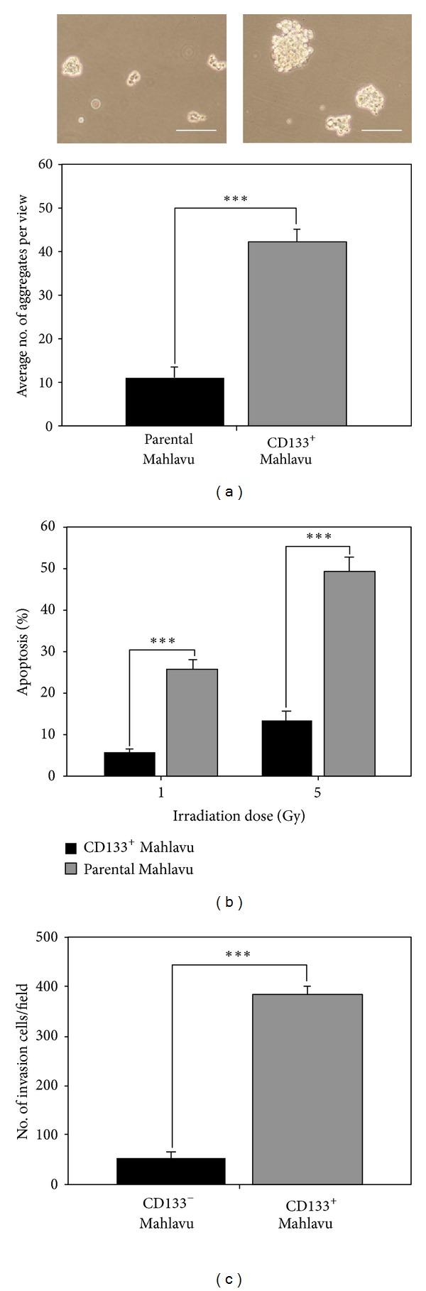 https://cdn.ncbi.nlm.nih.gov/pmc/blobs/fa46/3710633/28aa883b7d8b/ECAM2013-258425.002.jpg