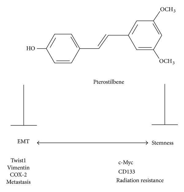https://cdn.ncbi.nlm.nih.gov/pmc/blobs/fa46/3710633/77615119b121/ECAM2013-258425.005.jpg