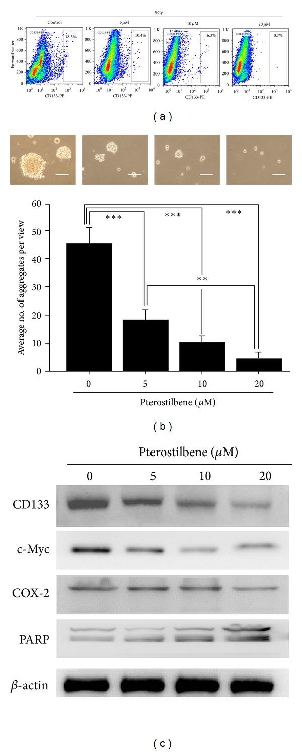 https://cdn.ncbi.nlm.nih.gov/pmc/blobs/fa46/3710633/d7d3a2c4b646/ECAM2013-258425.003.jpg
