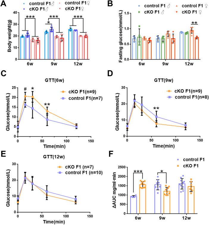 https://cdn.ncbi.nlm.nih.gov/pmc/blobs/fa46/9692016/e55263705b31/fphys-13-1042449-g002.jpg