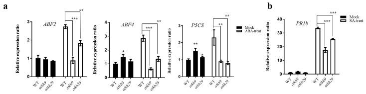 https://cdn.ncbi.nlm.nih.gov/pmc/blobs/fa48/8745409/3410e1293316/ijms-23-00511-g009.jpg
