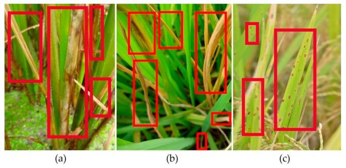 https://cdn.ncbi.nlm.nih.gov/pmc/blobs/fa4b/7038217/1d8563501385/sensors-20-00578-g001.jpg