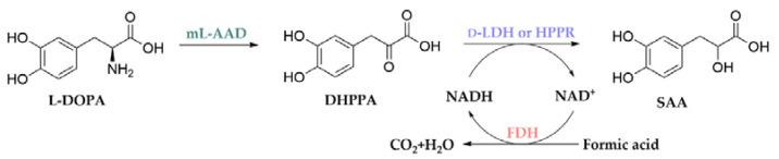 https://cdn.ncbi.nlm.nih.gov/pmc/blobs/fa4b/9501478/1d5c3979a51f/molecules-27-06088-g001.jpg