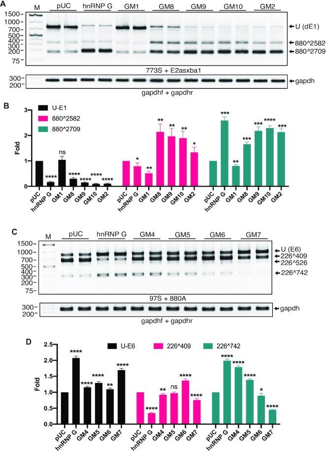 https://cdn.ncbi.nlm.nih.gov/pmc/blobs/fa4d/9023273/149920015166/gkac213fig7.jpg