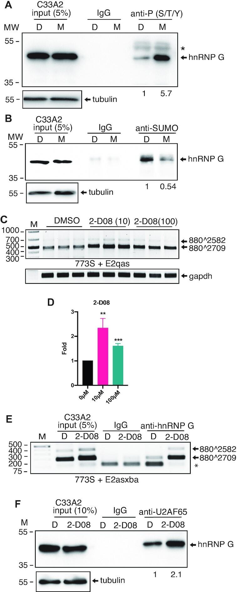 https://cdn.ncbi.nlm.nih.gov/pmc/blobs/fa4d/9023273/30c40b054019/gkac213fig9.jpg