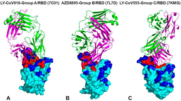https://cdn.ncbi.nlm.nih.gov/pmc/blobs/fa50/11855367/d87e2593aa62/ijms-26-01507-g001.jpg
