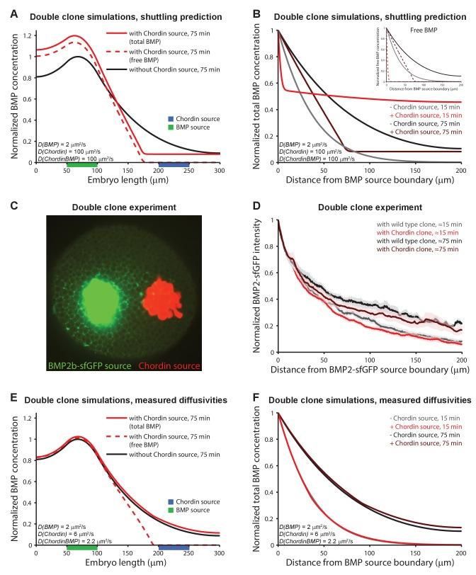 https://cdn.ncbi.nlm.nih.gov/pmc/blobs/fa52/5658070/c7536b9c34f8/elife-25861-fig5.jpg