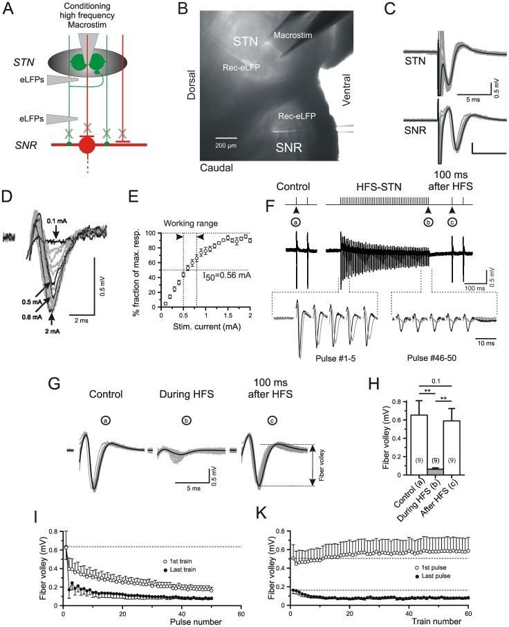 https://cdn.ncbi.nlm.nih.gov/pmc/blobs/fa53/3871646/398b90e0b98a/pone.0082191.g001.jpg