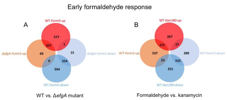 https://cdn.ncbi.nlm.nih.gov/pmc/blobs/fa54/7916467/6081046499b9/microorganisms-09-00347-g005.jpg