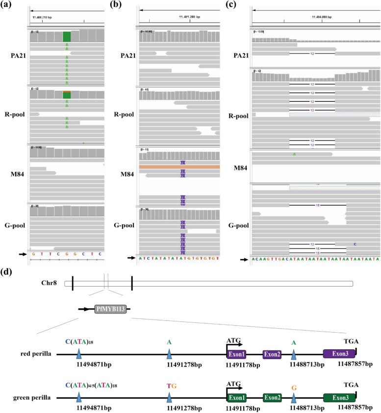 https://cdn.ncbi.nlm.nih.gov/pmc/blobs/fa56/11828775/380b775d058b/44307_2025_58_Fig5_HTML.jpg