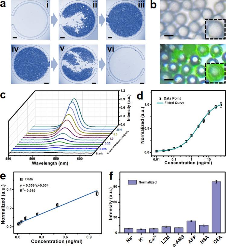 https://cdn.ncbi.nlm.nih.gov/pmc/blobs/fa59/11996743/c604eff2aee7/40820_2025_1745_Fig3_HTML.jpg