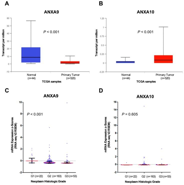 https://cdn.ncbi.nlm.nih.gov/pmc/blobs/fa5b/6406441/79ce5ba11997/jcm-08-00229-g003.jpg