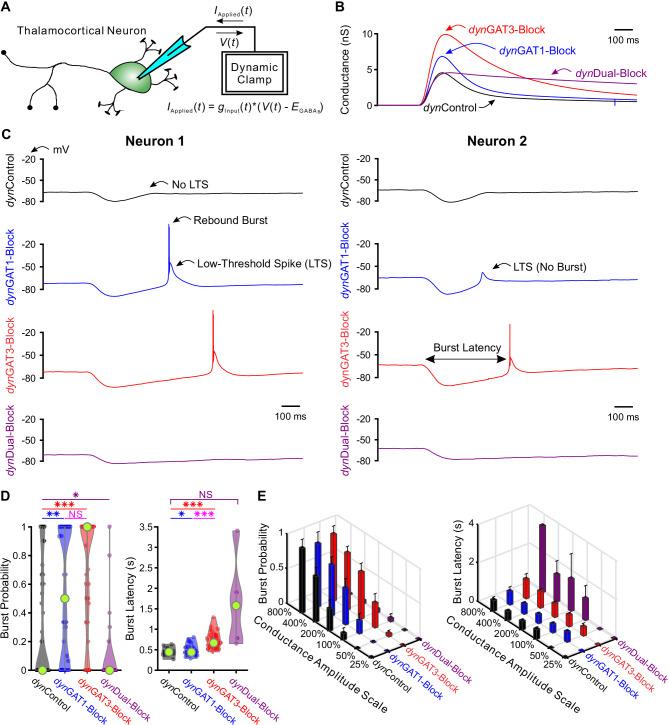 https://cdn.ncbi.nlm.nih.gov/pmc/blobs/fa5b/7529462/302a0f994832/elife-59548-fig2.jpg