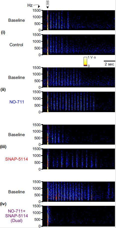https://cdn.ncbi.nlm.nih.gov/pmc/blobs/fa5b/7529462/c6c02d3dbba3/elife-59548-resp-fig1.jpg