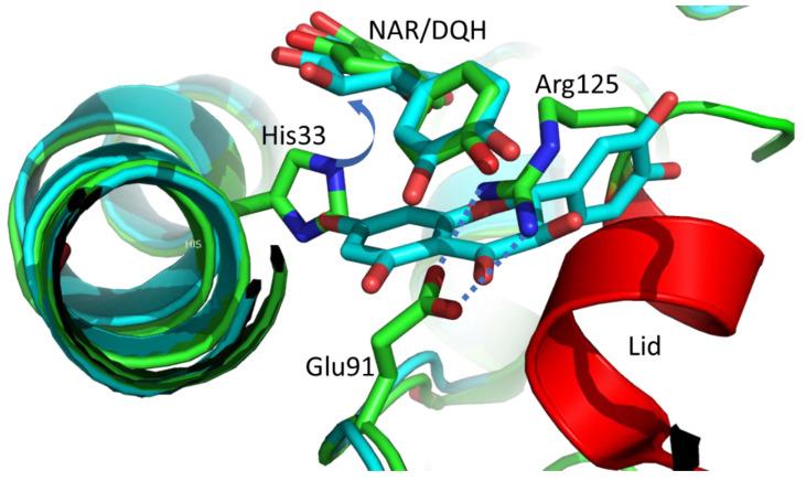 https://cdn.ncbi.nlm.nih.gov/pmc/blobs/fa5e/9694015/1534b32de90c/molecules-27-07909-g002.jpg