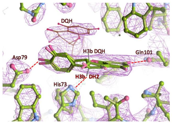 https://cdn.ncbi.nlm.nih.gov/pmc/blobs/fa5e/9694015/a274621212f7/molecules-27-07909-g005.jpg