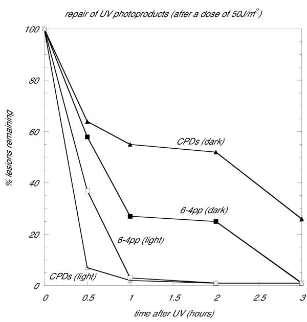 https://cdn.ncbi.nlm.nih.gov/pmc/blobs/fa5f/1224876/5bbcc9574df6/1746-1448-1-3-2.jpg