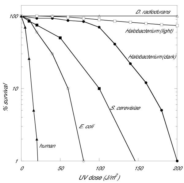 https://cdn.ncbi.nlm.nih.gov/pmc/blobs/fa5f/1224876/fb490b1515a6/1746-1448-1-3-1.jpg