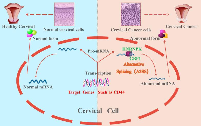 https://cdn.ncbi.nlm.nih.gov/pmc/blobs/fa60/10763113/2079cb2a502a/12967_2023_4837_Fig16_HTML.jpg