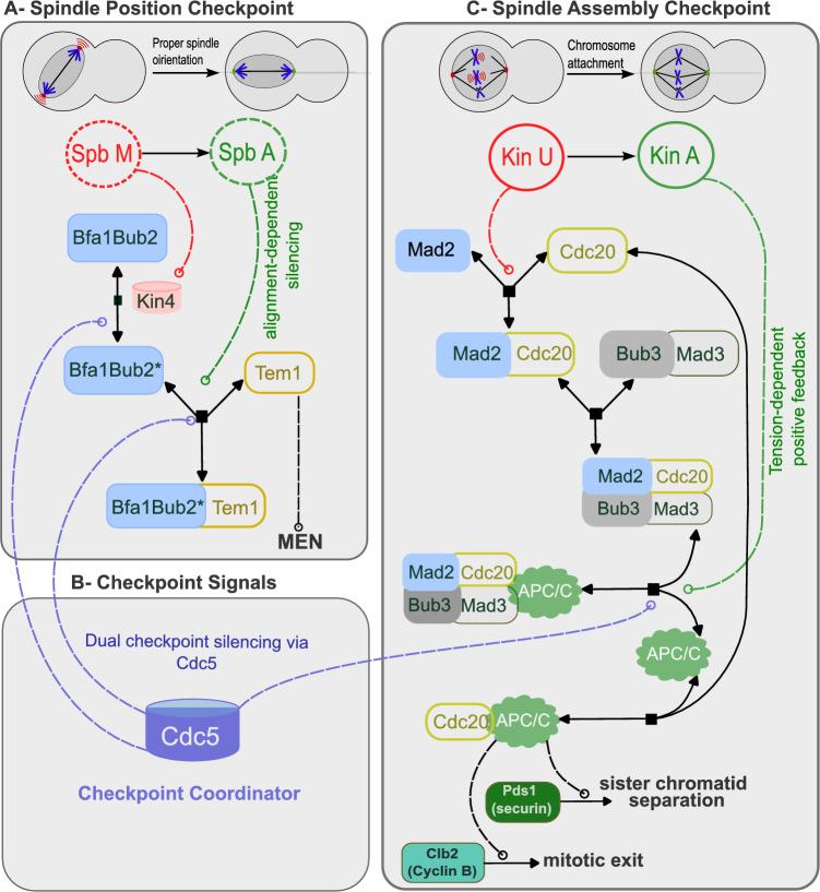 https://cdn.ncbi.nlm.nih.gov/pmc/blobs/fa61/12284074/665a69220150/41598_2025_11673_Fig1_HTML.jpg