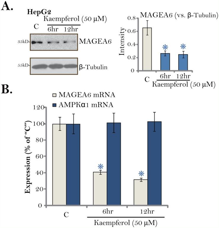 https://cdn.ncbi.nlm.nih.gov/pmc/blobs/fa62/5689680/4670747ad6c6/oncotarget-08-86227-g006.jpg