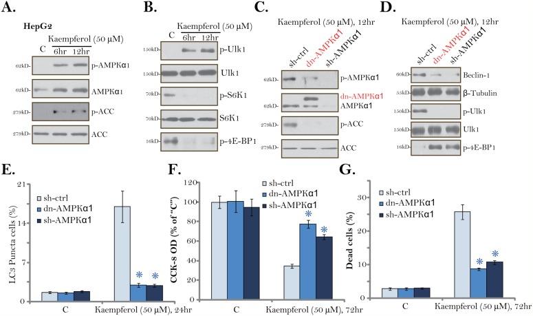 https://cdn.ncbi.nlm.nih.gov/pmc/blobs/fa62/5689680/c7e455b3bdcc/oncotarget-08-86227-g005.jpg