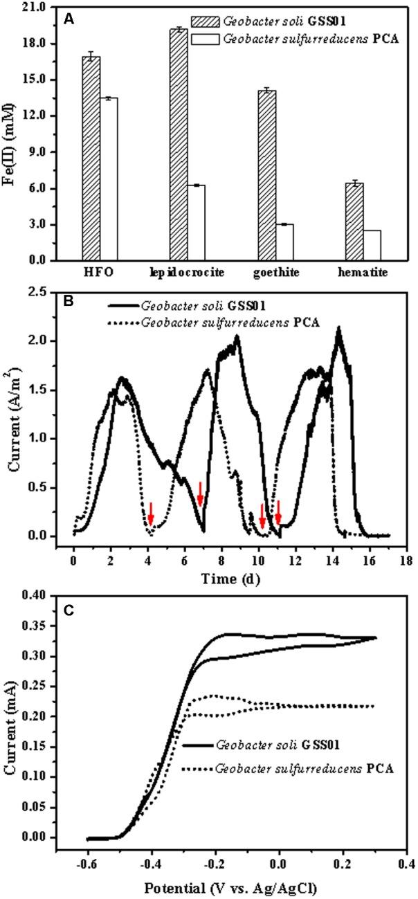 https://cdn.ncbi.nlm.nih.gov/pmc/blobs/fa64/6013743/5c1b0852ed71/fmicb-09-01075-g001.jpg