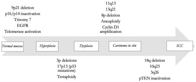 https://cdn.ncbi.nlm.nih.gov/pmc/blobs/fa65/10454133/3af7fffcd282/ijms-24-12913-g001.jpg