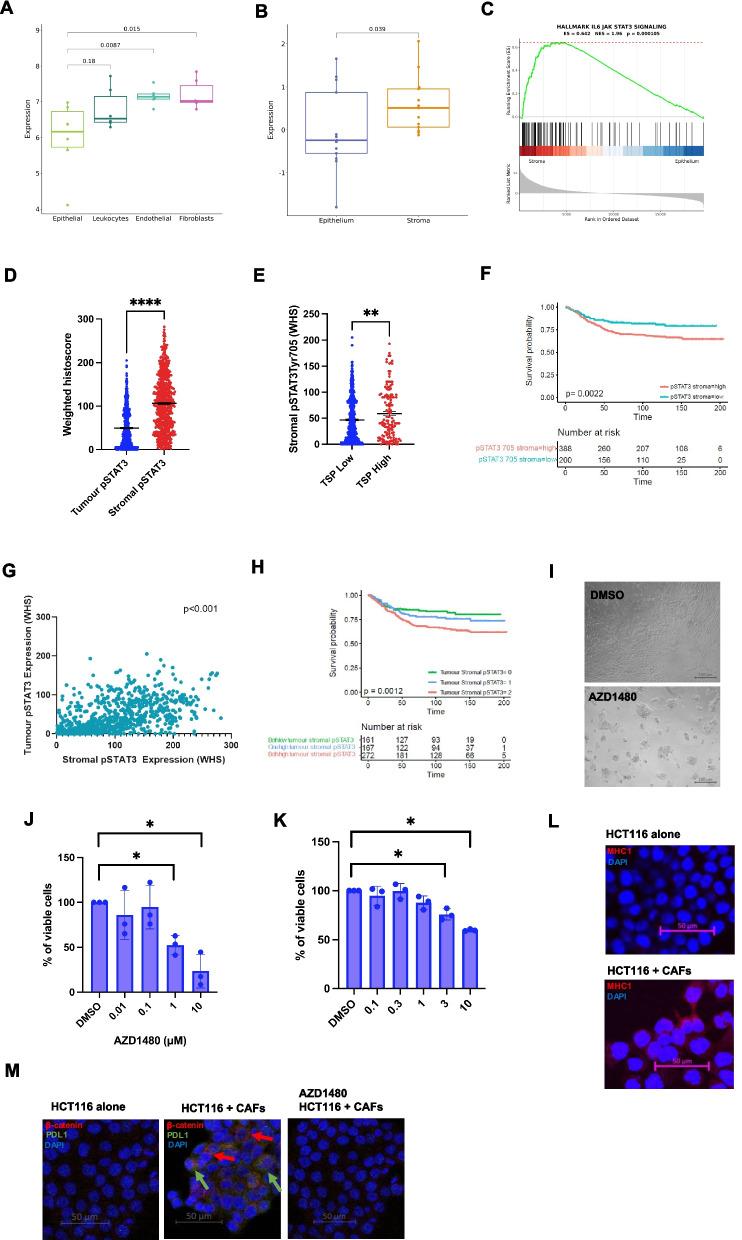 https://cdn.ncbi.nlm.nih.gov/pmc/blobs/fa69/10905886/6d64f422365f/13046_2024_2958_Fig6_HTML.jpg