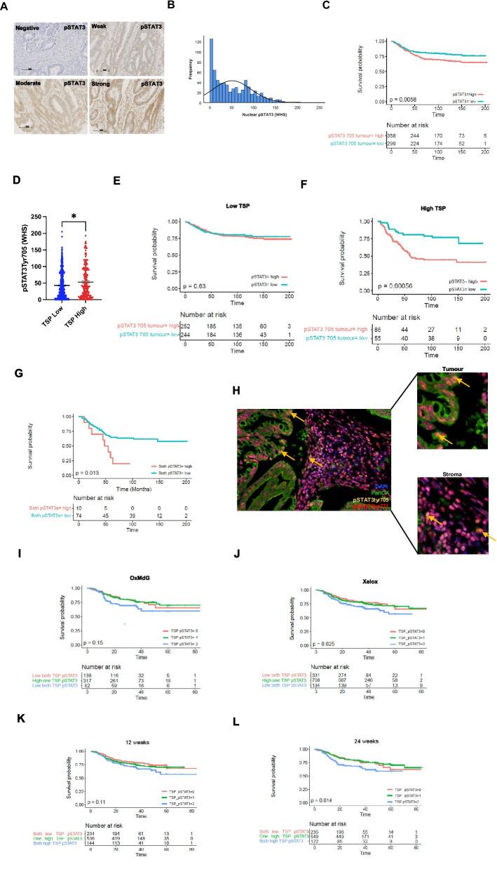 https://cdn.ncbi.nlm.nih.gov/pmc/blobs/fa69/10905886/769359fae940/13046_2024_2958_Fig3_HTML.jpg