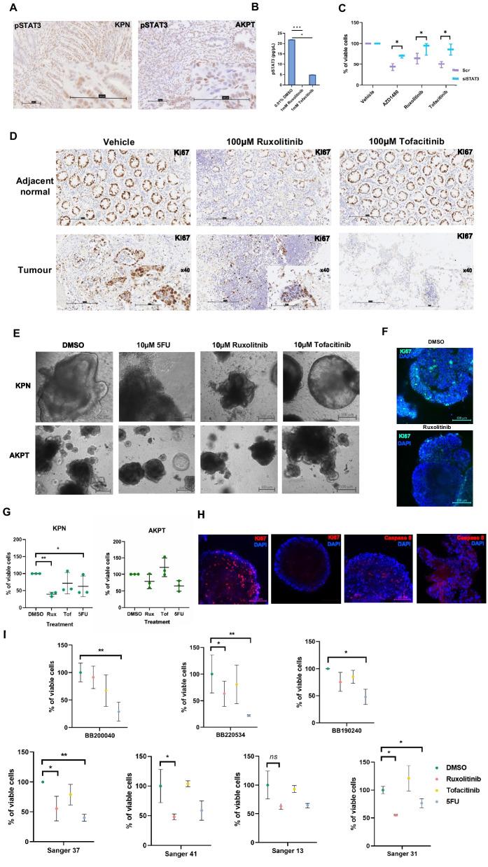 https://cdn.ncbi.nlm.nih.gov/pmc/blobs/fa69/10905886/a3e3499b9fe9/13046_2024_2958_Fig1_HTML.jpg