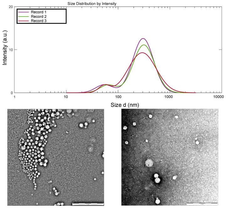 https://cdn.ncbi.nlm.nih.gov/pmc/blobs/fa69/9456765/8778d1c4bac1/materials-15-06039-g001a.jpg