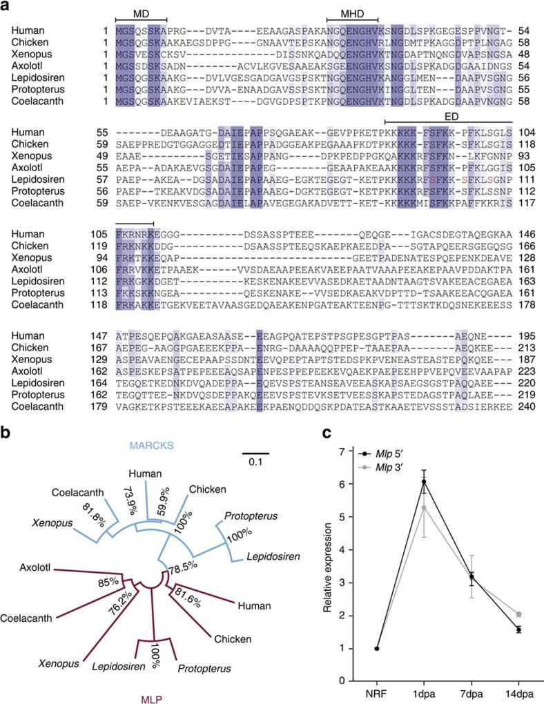 https://cdn.ncbi.nlm.nih.gov/pmc/blobs/fa6a/5097137/ab3bdec16e8b/ncomms13364-f3.jpg