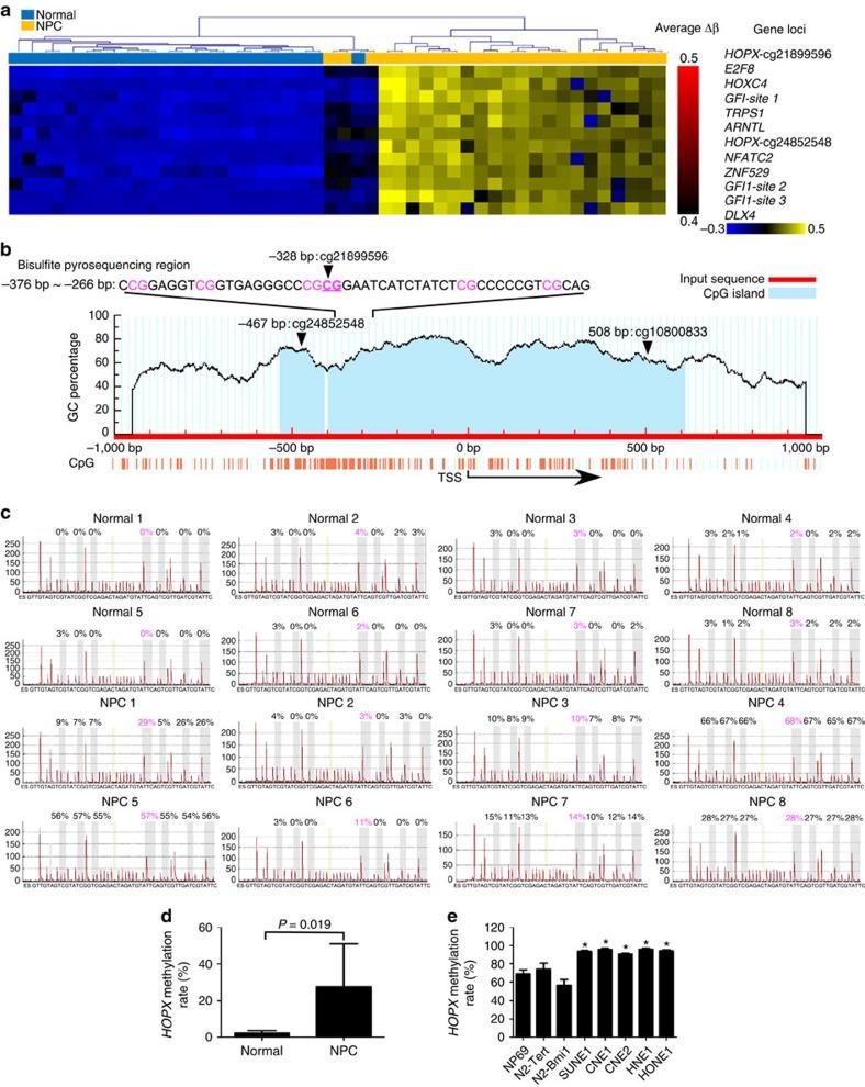 https://cdn.ncbi.nlm.nih.gov/pmc/blobs/fa6b/5296651/778b8a18c677/ncomms14053-f1.jpg