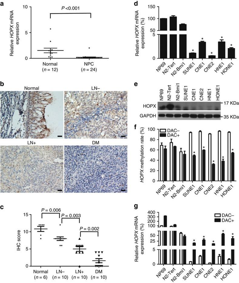 https://cdn.ncbi.nlm.nih.gov/pmc/blobs/fa6b/5296651/f8be15d61993/ncomms14053-f2.jpg