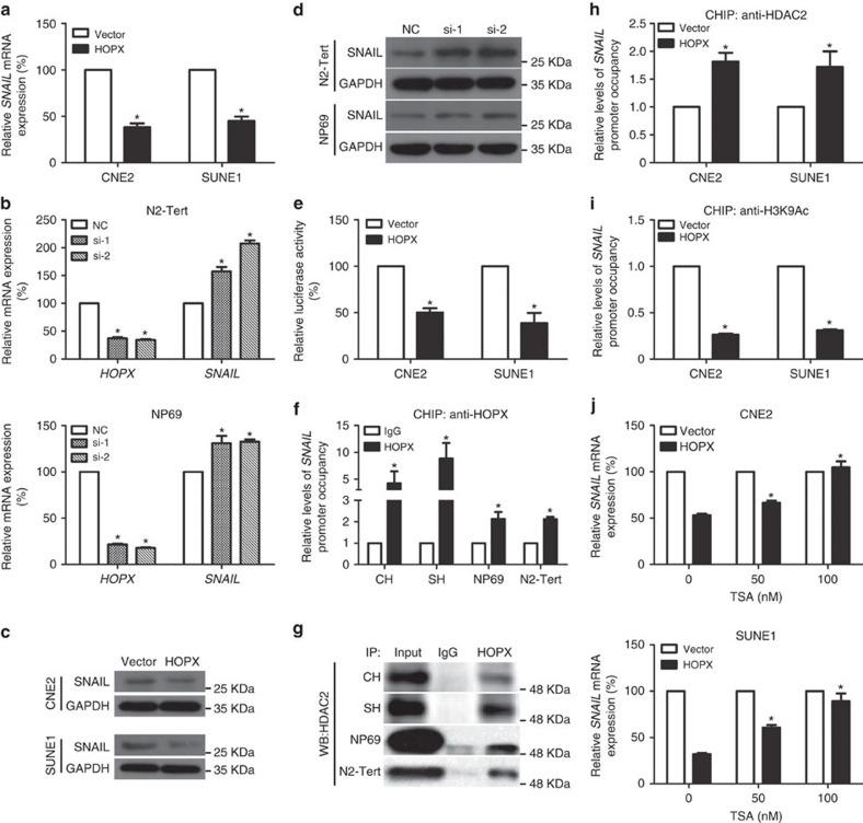 https://cdn.ncbi.nlm.nih.gov/pmc/blobs/fa6b/5296651/f962fd4c7ee5/ncomms14053-f5.jpg