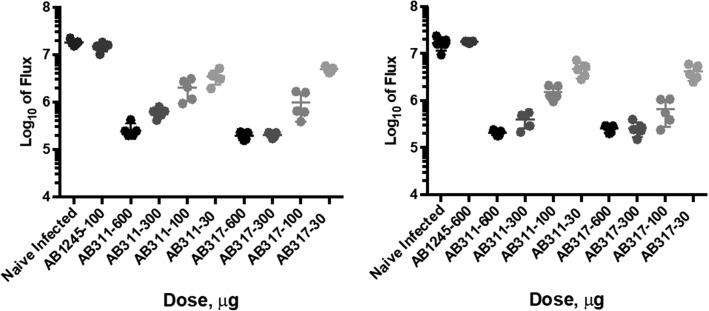 https://cdn.ncbi.nlm.nih.gov/pmc/blobs/fa6d/7079517/59ceaa19a871/12936_2020_3181_Fig2_HTML.jpg
