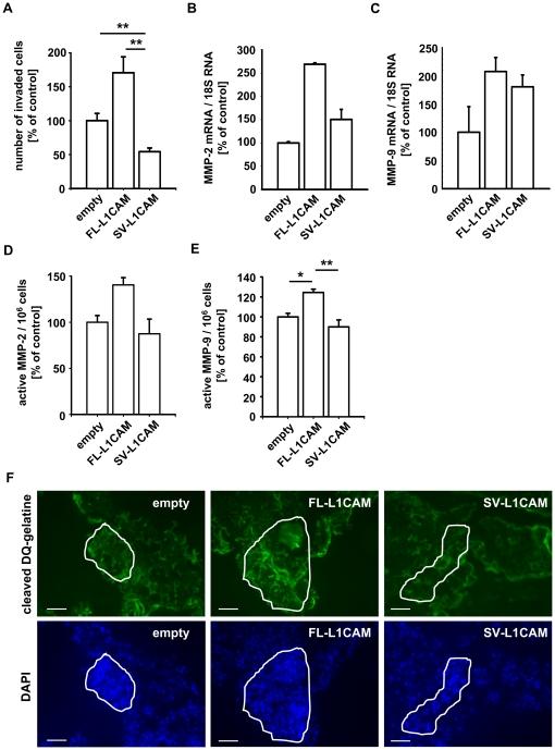https://cdn.ncbi.nlm.nih.gov/pmc/blobs/fa6e/3081839/657fdb5d6de1/pone.0018989.g005.jpg