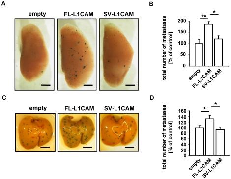 https://cdn.ncbi.nlm.nih.gov/pmc/blobs/fa6e/3081839/ad9d0c2db583/pone.0018989.g004.jpg