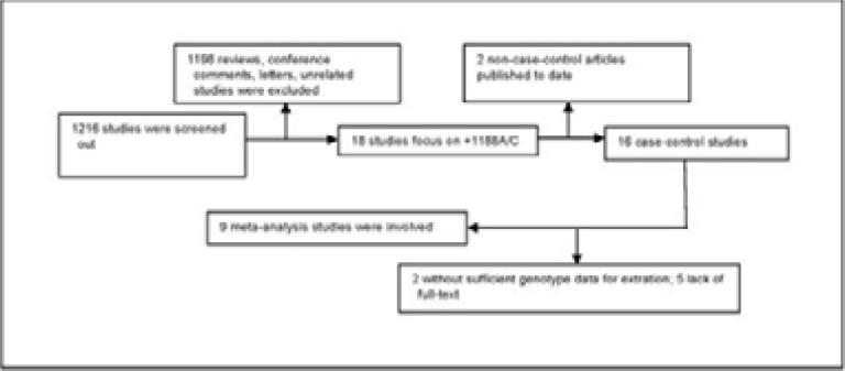 https://cdn.ncbi.nlm.nih.gov/pmc/blobs/fa70/10782329/30f78b3220a4/AFHS2302-0133Fig1.jpg