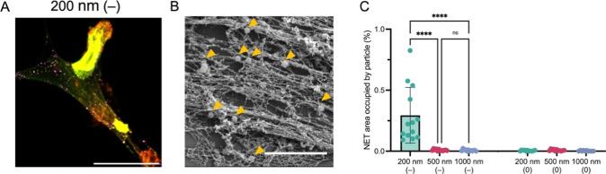 https://cdn.ncbi.nlm.nih.gov/pmc/blobs/fa72/11826501/7e6bf5e464a5/am4c17324_0003.jpg