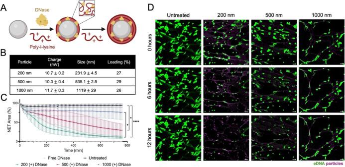 https://cdn.ncbi.nlm.nih.gov/pmc/blobs/fa72/11826501/ab3eec95cba7/am4c17324_0006.jpg