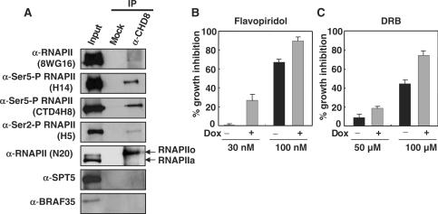 https://cdn.ncbi.nlm.nih.gov/pmc/blobs/fa73/2677868/9f416e48c26b/gkp101f6.jpg
