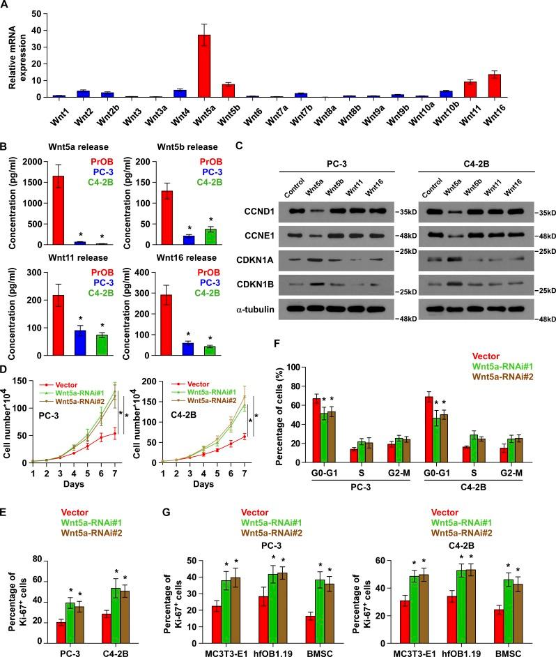 https://cdn.ncbi.nlm.nih.gov/pmc/blobs/fa73/6363426/5283de866c34/JEM_20180661_Fig2.jpg